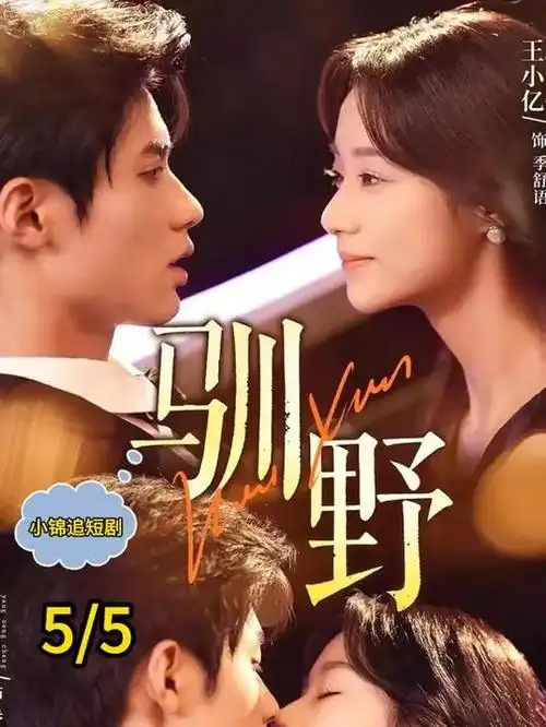 大明王朝1566电视剧海报